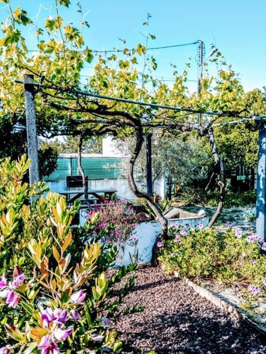 Pateo Memoria, Casa Do Beco Villa Setubal Bagian luar foto